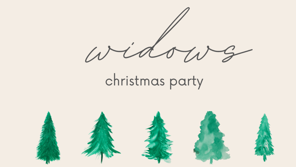 /images/r/widows-christmas-party/c960x540g48-191-1396-949/widows-christmas-party.jpg